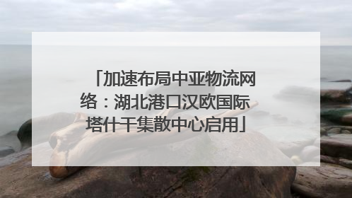 加速布局中亚物流网络：湖北港口汉欧国际塔什干集散中心启用