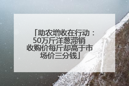 助农增收在行动：50万斤洋葱滞销 收购价每斤却高于市场价三分钱