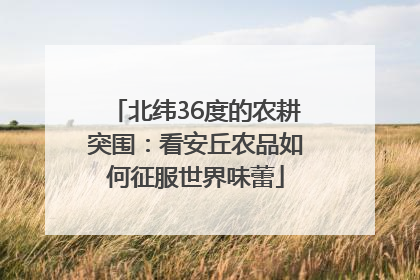北纬36度的农耕突围：看安丘农品如何征服世界味蕾