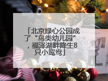 北京绿心公园成了“鸟类幼儿园”，福泽湖畔降生8只小鸳鸯
