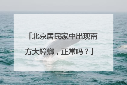 北京居民家中出现南方大蟑螂，正常吗？