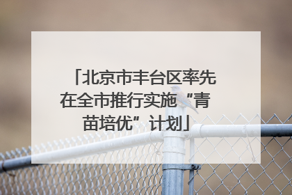 北京市丰台区率先在全市推行实施“青苗培优”计划