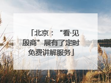 北京：“看·见殷商”展有了定时免费讲解服务