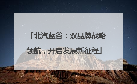 北汽蓝谷：双品牌战略领航，开启发展新征程
