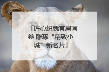 匠心织就宜居画卷 雕琢“精致小城”新名片