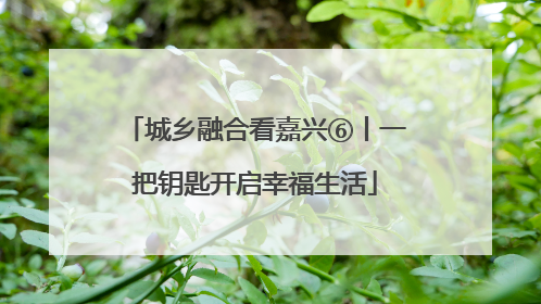 城乡融合看嘉兴⑥丨一把钥匙开启幸福生活