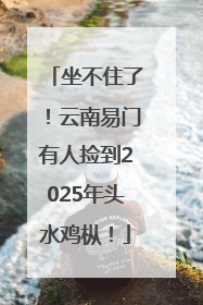 坐不住了！云南易门有人捡到2025年头水鸡枞！