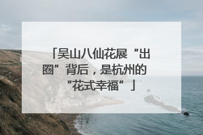 吴山八仙花展“出圈”背后，是杭州的“花式幸福”