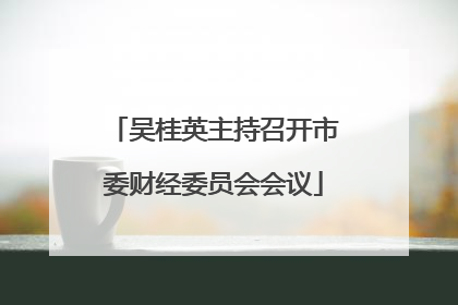 吴桂英主持召开市委财经委员会会议