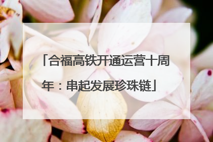 合福高铁开通运营十周年：串起发展珍珠链