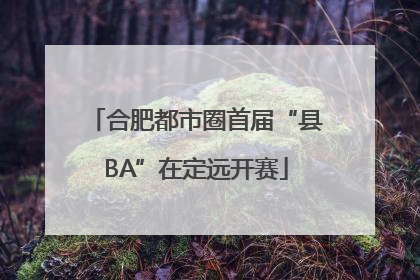 合肥都市圈首届“县BA”在定远开赛