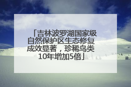 吉林波罗湖国家级自然保护区生态修复成效显著，珍稀鸟类10年增加5倍