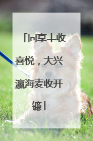 同享丰收喜悦，大兴瀛海麦收开镰