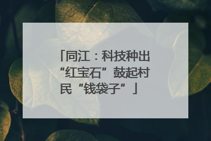 同江：科技种出“红宝石”鼓起村民“钱袋子”