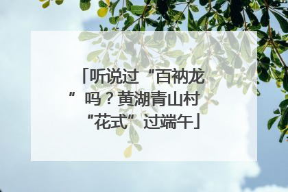 听说过“百衲龙”吗？黄湖青山村“花式”过端午