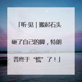 听·见｜搬起石头砸了自己的脚，特朗普终于“慌”了！