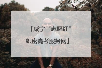 咸宁“志愿红”织密高考服务网