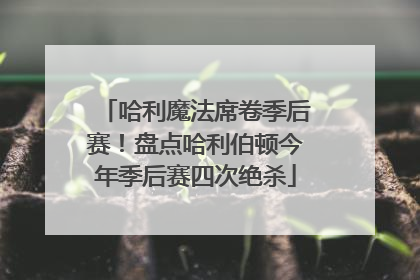哈利魔法席卷季后赛！盘点哈利伯顿今年季后赛四次绝杀