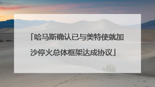 哈马斯确认已与美特使就加沙停火总体框架达成协议