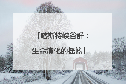 喀斯特峡谷群：生命演化的摇篮