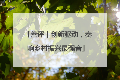 善评｜创新驱动，奏响乡村振兴最强音