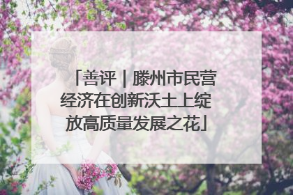 善评｜滕州市民营经济在创新沃土上绽放高质量发展之花