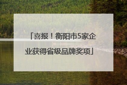 喜报！衡阳市5家企业获得省级品牌奖项