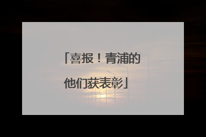 喜报！青浦的他们获表彰