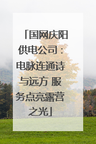 国网庆阳供电公司：电脉连通诗与远方 服务点亮露营之光