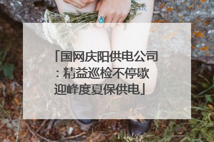 国网庆阳供电公司：精益巡检不停歇 迎峰度夏保供电