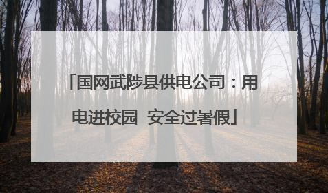 国网武陟县供电公司：用电进校园  安全过暑假