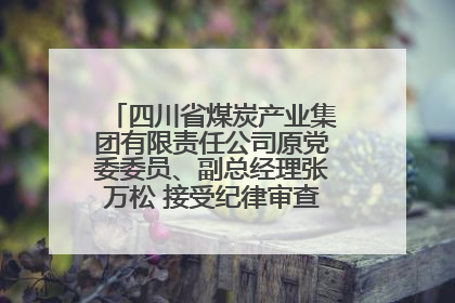 四川省煤炭产业集团有限责任公司原党委委员、副总经理张万松 接受纪律审查和监察调查