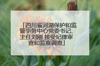 四川省河湖保护和监管事务中心党委书记、主任刘刚 接受纪律审查和监察调查