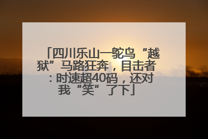 四川乐山一鸵鸟“越狱”马路狂奔，目击者：时速超40码，还对我“笑”了下