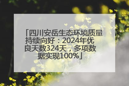 四川安岳生态环境质量持续向好：2024年优良天数324天，多项数据实现100%