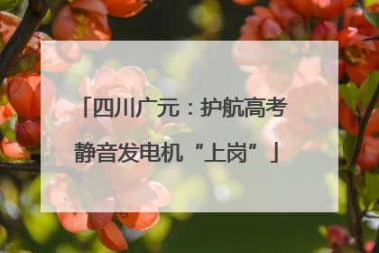 四川广元：护航高考 静音发电机“上岗”