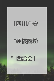 四川广安“硬核圈粉”西洽会