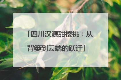 四川汉源甜樱桃：从背篓到云端的跃迁