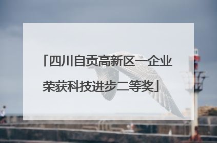 四川自贡高新区一企业荣获科技进步二等奖