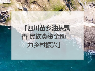 四川苗乡油茶飘香 民族类资金助力乡村振兴
