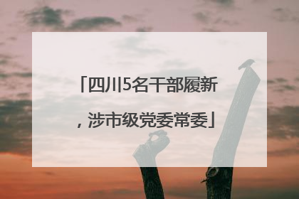 四川5名干部履新，涉市级党委常委