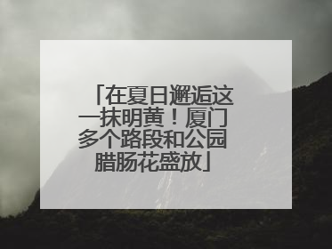 在夏日邂逅这一抹明黄！厦门多个路段和公园腊肠花盛放