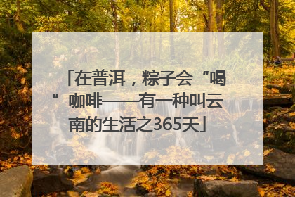 在普洱，粽子会“喝”咖啡——有一种叫云南的生活之365天