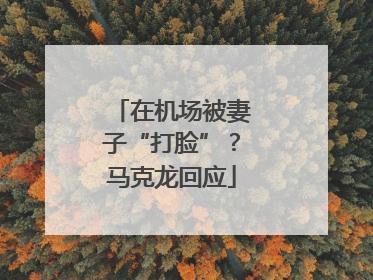 在机场被妻子“打脸”？马克龙回应