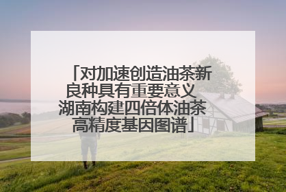 对加速创造油茶新良种具有重要意义 湖南构建四倍体油茶高精度基因图谱