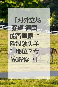 对外立场强硬 德国能否重振“欧盟领头羊”地位？专家解读→