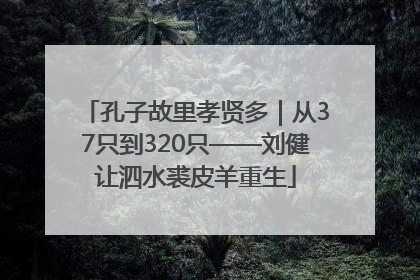 孔子故里孝贤多｜从37只到320只——刘健让泗水裘皮羊重生