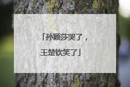 孙颖莎哭了，王楚钦笑了