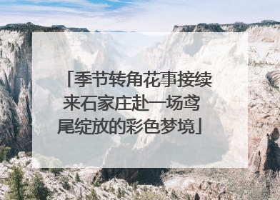 季节转角花事接续 来石家庄赴一场鸢尾绽放的彩色梦境