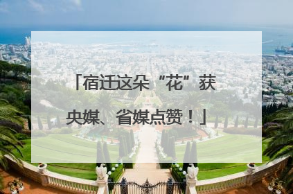 宿迁这朵“花”获央媒、省媒点赞！